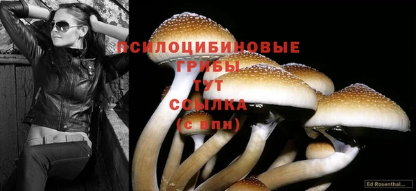 гашиш Осинники