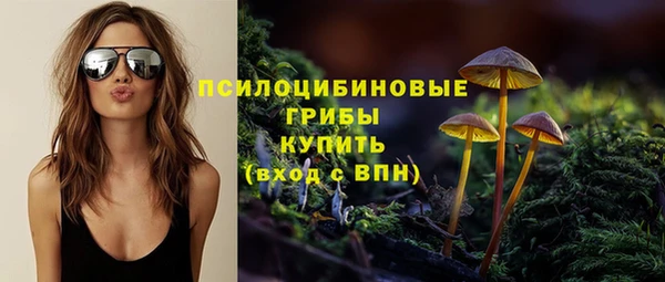 гашик Ростов