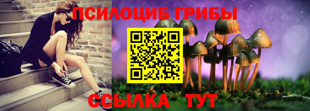 Псилоцибиновые грибы мицелий  Вход с VPN  Глазов 
