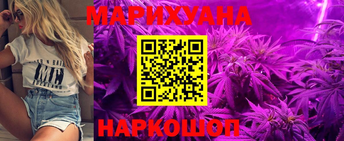 Каннабис Bruce Banner  Вход с VPN  Бошки Шишки планчик  Глазов  Бошки марихуана семена  Шишки марихуана гибрид 